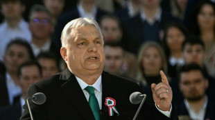 Orb&aacute;n y su principal rival celebran marchas en Hungr&iacute;a, a un mes de las elecciones