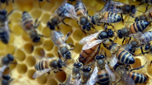 Transparenz beim Fr&uuml;hst&uuml;ck: EU-Parlament f&uuml;r mehr Infos auf Honig und Marmelade