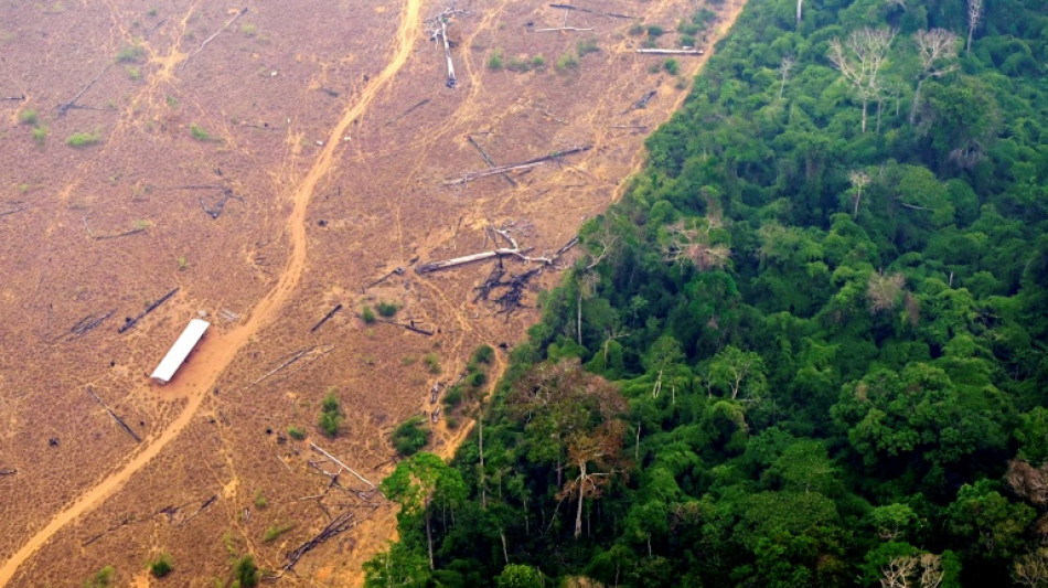 La perte de v&eacute;g&eacute;tation native rend le Br&eacute;sil plus vuln&eacute;rable &agrave; El Ni&ntilde;o