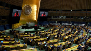 La ONU alerta que el mundo afronta "peligro" por la crisis en Ucrania