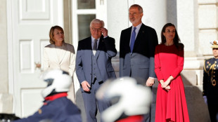 Pr&auml;chtiger Empfang: Steinmeier zu Staatsbesuch in Spanien - Bundespr&auml;sident am Freitag in Guernica