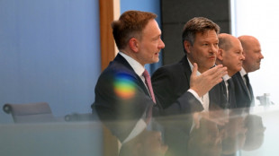 "Bild": Lindners Steuerpl&auml;ne sorgen f&uuml;r neuen Koalitionsstreit