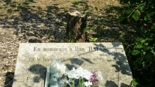 Abattage d'un olivier rendant hommage à Ilan Halimi: deux hommes interpellés