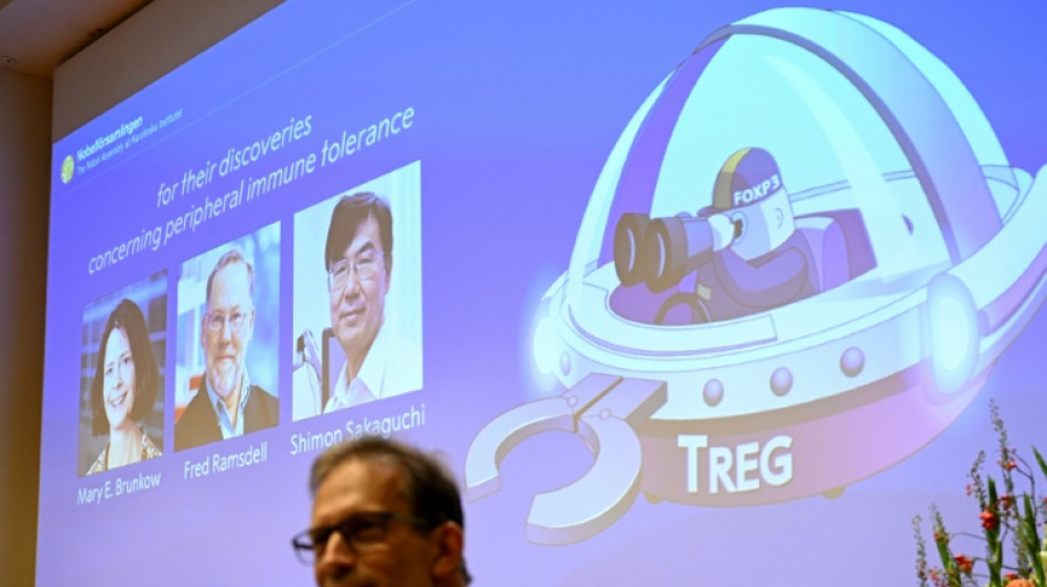 Nobel de Medicina premia três pesquisadores do sistema imunológico