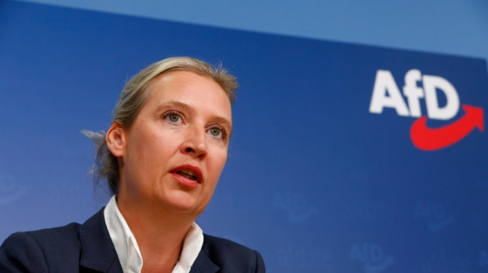 Bericht: Universit&auml;t pr&uuml;ft Plagiatsverdacht gegen AfD-Chefin Weidel