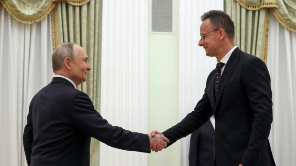 Russia to free two Hungarian-Ukrainian POWs, Putin says