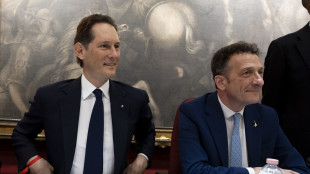 Elkann, Italia per noi centrale, 2025 sar&agrave; ancora difficile