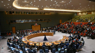 Gaza: pour la premi&egrave;re fois, le Conseil de s&eacute;curit&eacute; vote pour un "cessez-le-feu imm&eacute;diat"