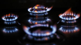 Il gas naturale scende sotto i 34 euro al Ttf di Amsterdam