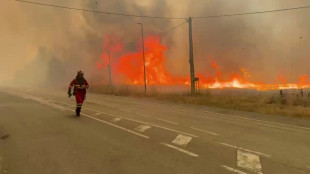 Hitzewelle in Europa: Drei Tote bei Waldbränden