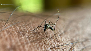 Chikungunya à Mayotte: la flambée s'intensifie, incertitudes sur son ampleur