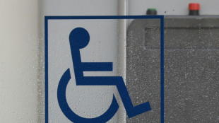 Handicap: des associations d&eacute;noncent "l'attentisme" des pouvoirs publics