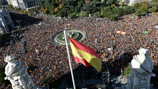 "A l'aide, l'UE": une foule d'Espagnols proteste contre l'amnistie des ind&eacute;pendantistes catalans