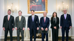 "Historische Chance": Rubio empf&auml;ngt Vertreter Israels und des Libanon in Washington