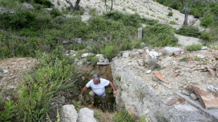'Everywhere they dig': looters hunt Albanian antiques