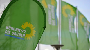 Gr&uuml;ne beginnen Parteitag in Wiesbaden