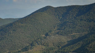Entre l'Arm&eacute;nie et l'Azerba&iuml;djan, la destruction de for&ecirc;ts met &agrave; l'&eacute;preuve les efforts de paix