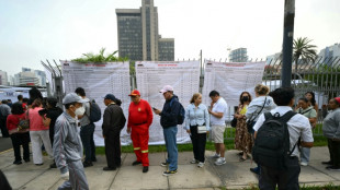 Peru h&auml;lt erste Runde der Pr&auml;sidentschaftswahl sowie Parlamentswahlen ab