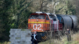 Agro-industrie: "plusieurs plaintes" après le blocage dans le Morbihan d'un train pour l'alimentation animale
