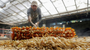 Colombia celebra el r&eacute;cord del precio interno del caf&eacute; en medio de m&aacute;ximos internacionales