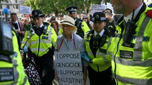 Près de 900 arrestations à Londres à un rassemblement de soutien à Palestine Action