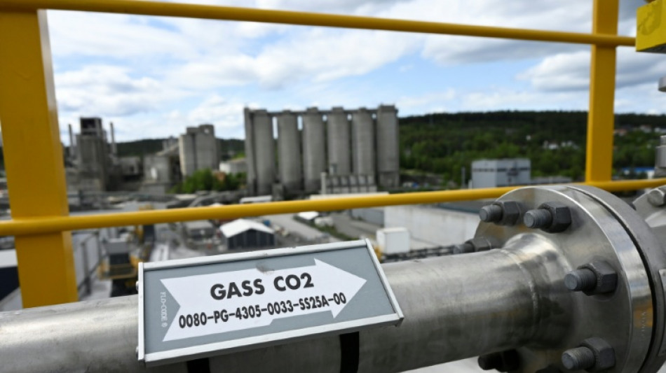 Carbon capture promoters turn up in numbers at COP30: NGO 