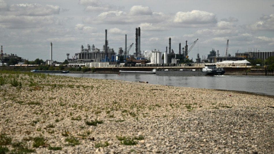 S&eacute;cheresse : en Allemagne, le Rhin en passe d'&ecirc;tre coup&eacute; en deux 