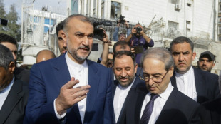 Kreise: In Damaskus get&ouml;teter Iraner war hochrangiger Hisbollah-Anf&uuml;hrer