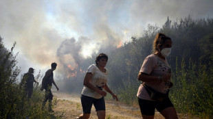 Rekord-Waldbrände in Spanien zerstören weitere 30.000 Hektar Land