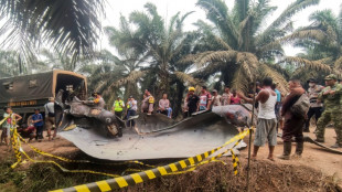 Near miss: Indonesia probes crash of suspected Chinese rocket fragment