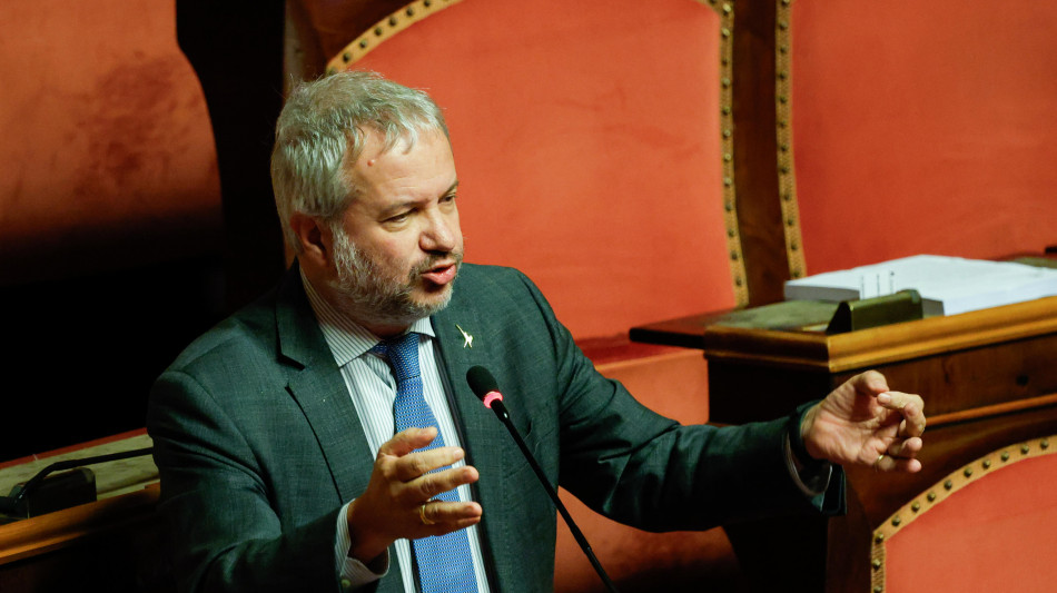 Borghi, su pensioni chiederemo al governo diversa riformulazione