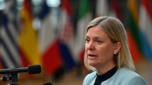 Swedish government faces tough no-confidence vote