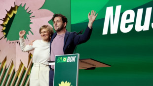 Gr&uuml;ne starten mit neuen Vorsitzenden Banaszak und Brantner in den Wahlkampf
