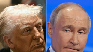 Trump-Putin meeting agreed for 'coming days', venue set: Kremlin
