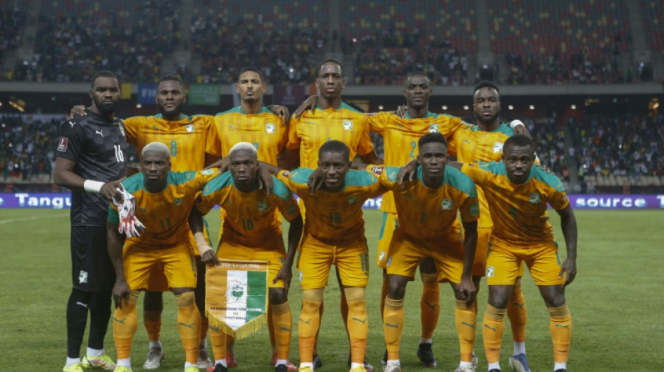 Matches amicaux: les Bleus contre la C&ocirc;te d'Ivoire et l'Afrique du Sud fin mars