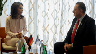 Baerbock: Israel muss st&auml;rker gegen Siedlergewalt vorgehen - Kritik an Minister Katz
