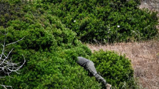 Tercer día de pesquisas en el caso Maddie en el sur de Portugal