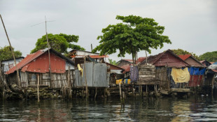 Un año después del éxodo, quietud invade la isla panameña que se tragará el mar