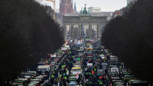 Les agriculteurs ach&egrave;vent &agrave; Berlin une semaine de mobilisation massive