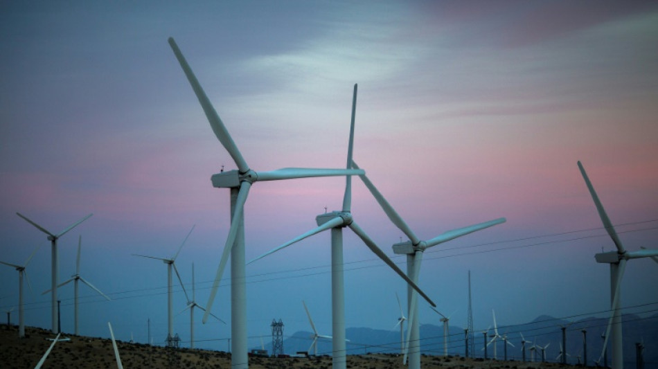 La subasta para desarrollar energ&iacute;a e&oacute;lica en EEUU registra un r&eacute;cord de 4.370 millones de d&oacute;lares