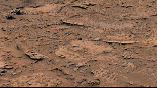 Astromóvil de la NASA da una pista sobre la ausencia de vida en Marte