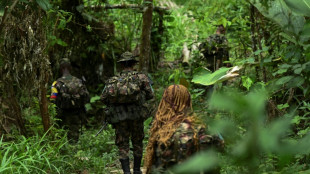 Disidentes de las FARC denuncian que el Ej&eacute;rcito de Colombia rompi&oacute; el cese al fuego