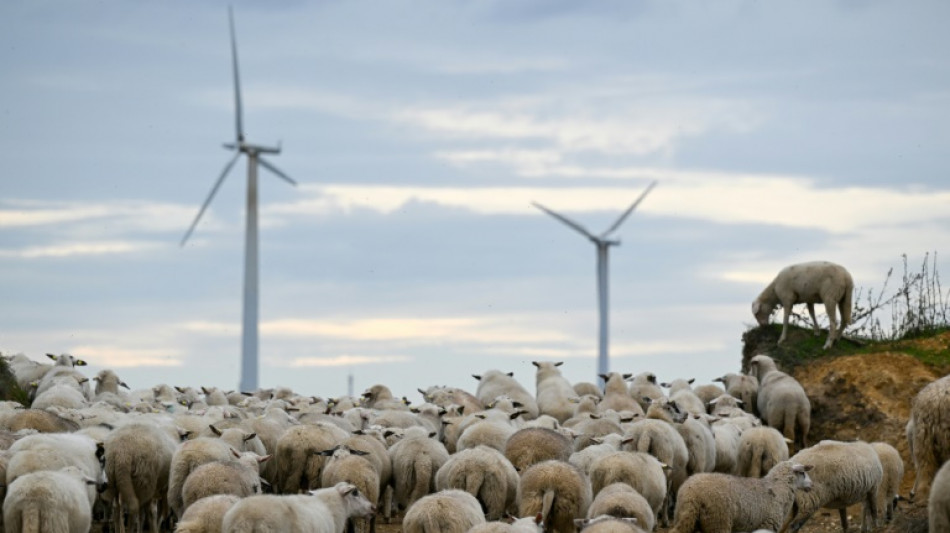 Experten fordern schnellere Genehmigungen f&uuml;r Wind- und Solaranlagen