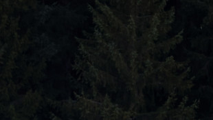 Sci: la Cdm sulla Streif di Kitzbuehel, Franzoni 'gara veloce adatta a me'