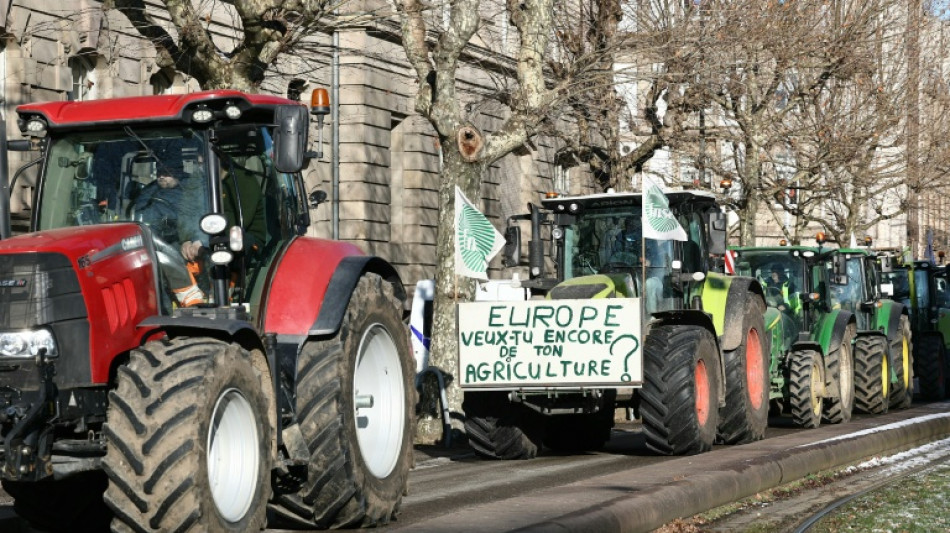 Las concesiones de la UE a sus agricultores para que apoyen el acuerdo con el Mercosur