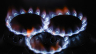 Il gas chiude in rialzo sul mercato di Amsterdam (+0,7%)