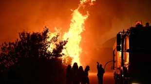 Sul da Europa é consumido por incêndios e onda de calor
