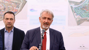 Rocca, Corte Conti verificher&agrave; su Expo Osaka,sono sereno