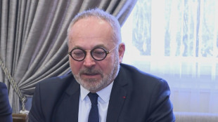 R&uuml;ckzug aus dem Senat: Franz&ouml;sischer Politiker suchte im Internet nach "Drogen und Vergewaltigung"