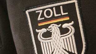 Schmuggler mit 47 Tieren gefasst - darunter hochgiftige Schlangenarten